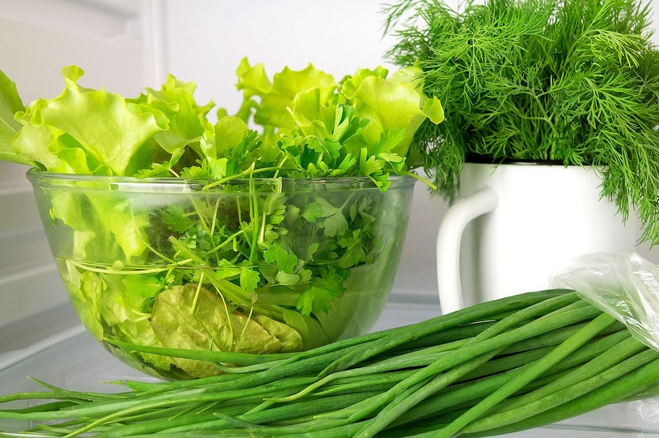 Как хранить зелень Как хранить зелень