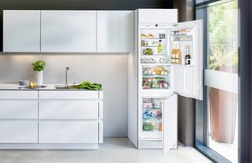 Новинки холодильников 2021 года Новинки холодильников 2021 года