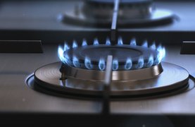 Рейтинг лучших производителей газовых плит Рейтинг лучших производителей газовых плит