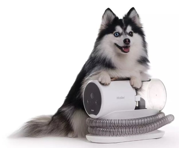 Пылесос для груминга Haier PetPure M Pro (preview 6)