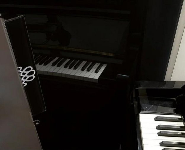 Монотемпературный винный шкаф EuroCave V-REVEL-L R-400024-L2B (preview 3)