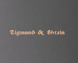 Пароварка Zigmund Shtain EN 100.511 B (preview 3)