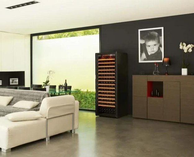 Монотемпературный винный шкаф EuroCave V-PURE-L P-300048-L (preview 3)