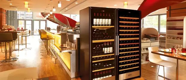 Винный шкаф EuroCave S3181T (preview 5)