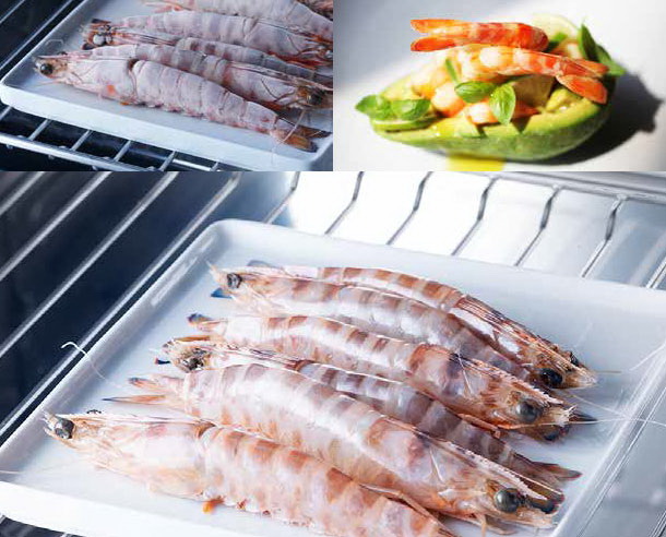 Встраиваемый шкаф шоковой заморозки Irinox Freddy 45 HF452350021 (под навесную панель/анодированная сталь) (preview 10)