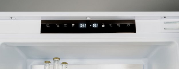 Встраиваемый холодильник Bertazzoni REF604BBNPTC (preview 3)