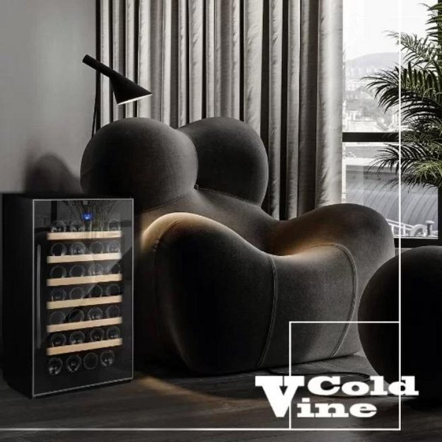 Винный шкаф Cold Vine C28-TBF1 (preview 4)