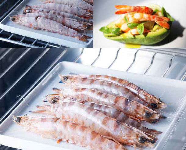 Встраиваемый шкаф шоковой заморозки Irinox Freddy 45 HF452350004 (полированная латунь/черный) (preview 11)