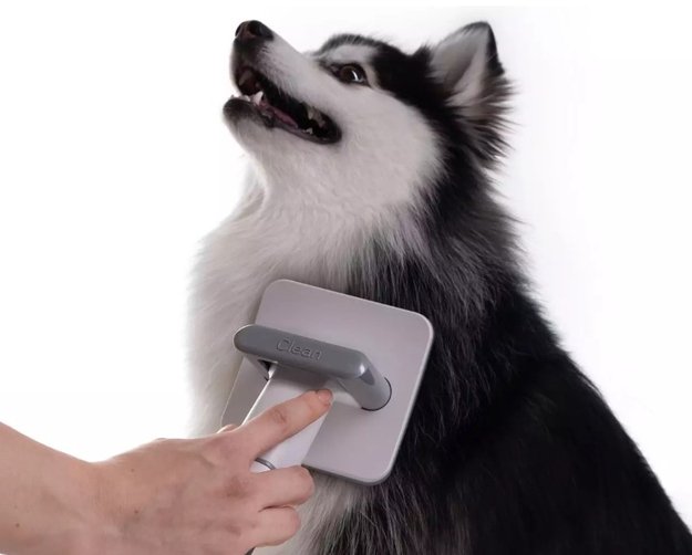 Пылесос для груминга Haier PetPure M Pro (preview 7)