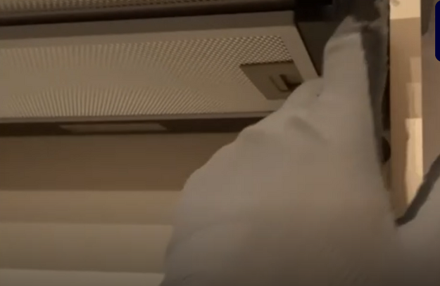 Вытяжка Korting KHP 6211 GW (video 3)