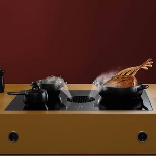 Индукционная варочная панель со встроенной вытяжкой BORA PUXA фото 3 в Новосибирске