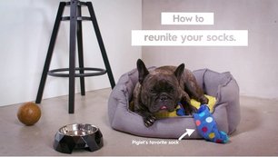 Стиральная машина Electrolux EW8F1R69SA фото 3 в Новосибирске