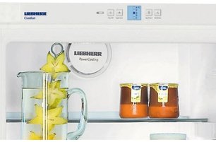 Холодильник Liebherr K 3120 Comfort фото 3 в Новосибирске