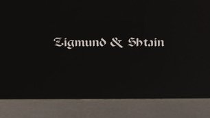 Духовой шкаф Zigmund Shtain EN 132.921 S фото 4 в Новосибирске