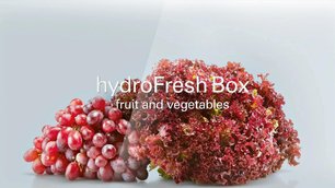 Холодильник Siemens KG 49NAI22R фото 3 в Новосибирске