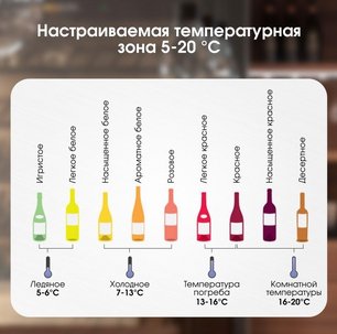 Винный шкаф Зигмунд Штайн BR 21 X фото 4 в Новосибирске Винный шкаф Zigmund Shtain BR 21 X фото 4 в Новосибирске