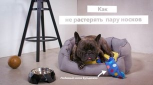 Стиральная машина Electrolux EW9F1R61B фото 4 в Новосибирске