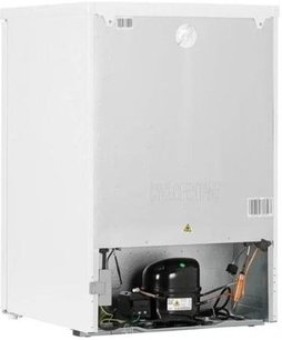 Морозильный шкаф Gorenje F39FPW4 фото 4 в Новосибирске