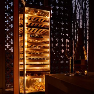 Винный шкаф IP IPS 2 501-6 U (5VE) фото 4 в Новосибирске