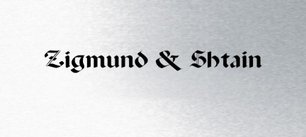 Духовой шкаф Zigmund Shtain EN 111.921 S фото 4 в Новосибирске