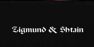 Духовой шкаф Zigmund Shtain EN 121.921 B фото 4 в Новосибирске