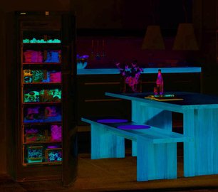 Холодильник Liebherr B 2756 Premium BioFresh фото 3 в Новосибирске