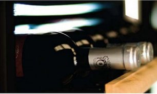 Винный шкаф IP NCK 151 CF фото 2 в Новосибирске