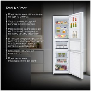 Холодильник Hyundai CM30073F белый фото 4 в Новосибирске