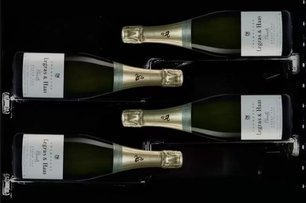 Винный шкаф Dunavox DX-58.258DSS фото 3 в Новосибирске