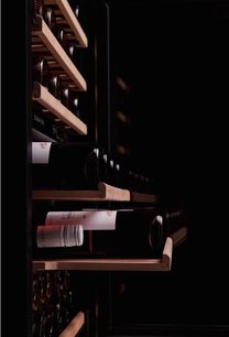 Винный шкаф Dunavox DX-51.150DSK фото 4 в Новосибирске