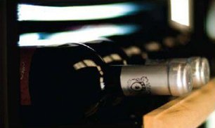 Винный шкаф IP CEX 2501 NU фото 2 в Новосибирске