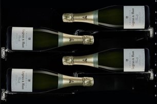 Винный шкаф Dunavox DX-58.258DB фото 3 в Новосибирске