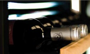 Винный шкаф IP C 601 CF фото 3 в Новосибирске