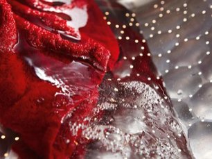 Стиральная машина Miele WDD030 фото 4 в Новосибирске