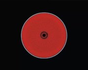 Варочная панель Electrolux CKE6450WC фото 2 в Новосибирске