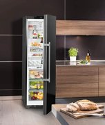 Холодильник Liebherr KBbs 4350 Premium BioFresh фото 3 в Новосибирске