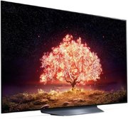 Телевизор LG OLED55B1RLA фото 4 в Новосибирске