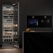 Духовой шкаф с микроволнами и паром Signature Kitchen Suite SKSLV2401S фото 3 в Новосибирске