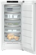 Морозильник Liebherr FNd 6625 фото 4 в Новосибирске