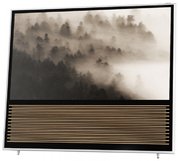 Телевизор Bang & Olufsen BeoVision 14-55 фото 2 в Новосибирске