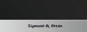 Духовой шкаф Zigmund Shtain EN 59.511 S фото 3 в Новосибирске