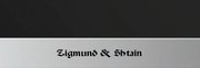 Духовой шкаф Zigmund Shtain EN 59.512 S фото 3 в Новосибирске