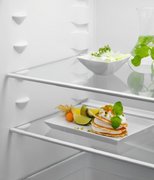 Встраиваемый холодильник Electrolux LND5FE18S фото 4 в Новосибирске