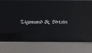 Духовой шкаф Zigmund Shtain EN 142.921 S фото 4 в Новосибирске