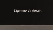 Духовой шкаф Zigmund Shtain EN 132.921 S фото 4 в Новосибирске