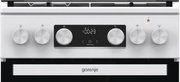 Комбинированная плита Gorenje GK5C41WF-B фото 2 в Новосибирске