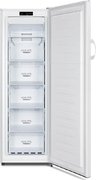 Морозильный шкаф Gorenje FN4171CW фото 2 в Новосибирске