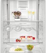 Холодильник AEG RCB63726OW фото 3 в Новосибирске