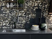 Мойка Франке BXX 210-68 сталь фото 2 в Новосибирске Мойка Franke BXX 210-68 сталь фото 2 в Новосибирске