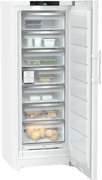 Морозильник Liebherr FNc 727i Peak фото 3 в Новосибирске